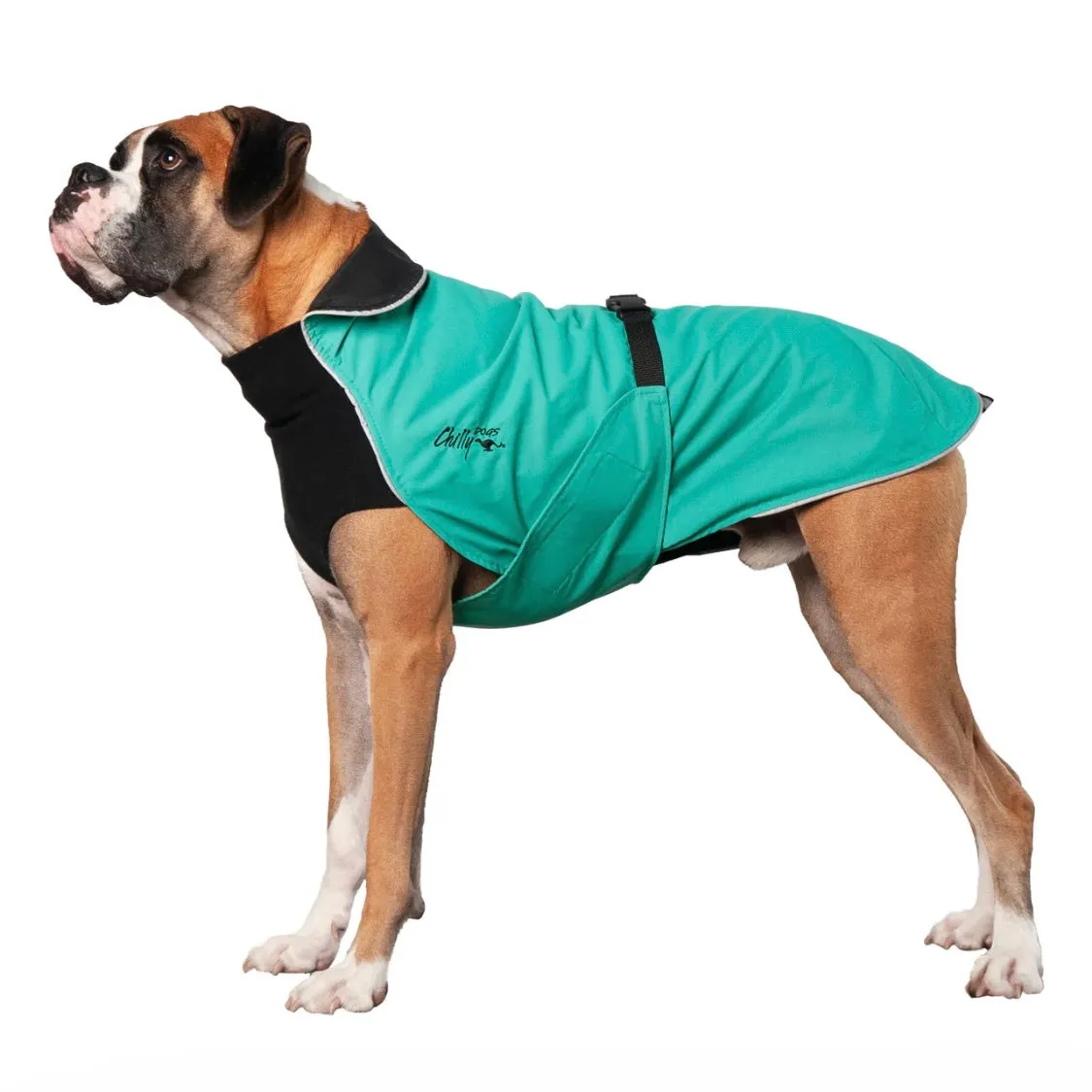 Chilly Dogs Harbour Slicker (Standard Cut)