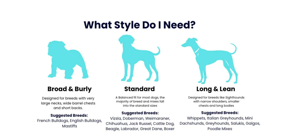 Chilly Dogs Harbour Slicker (Standard Cut)