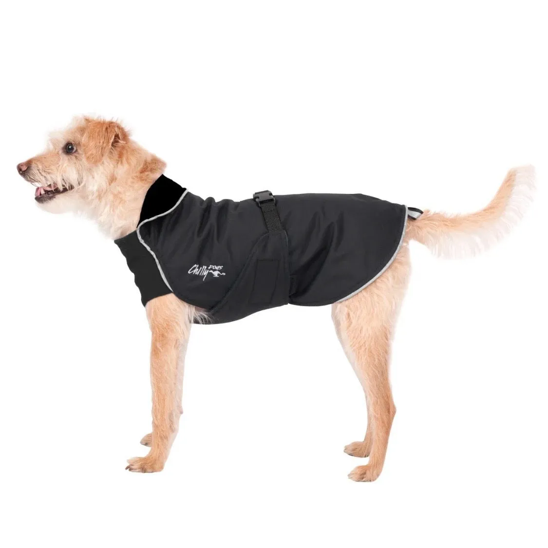 Chilly Dogs Harbour Slicker (Standard Cut)