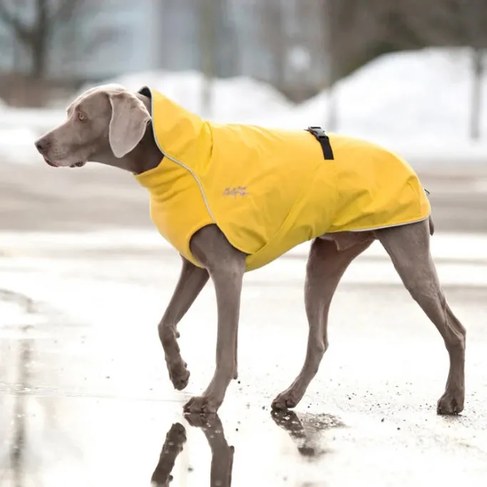 Chilly Dogs Harbour Slicker (Standard Cut)