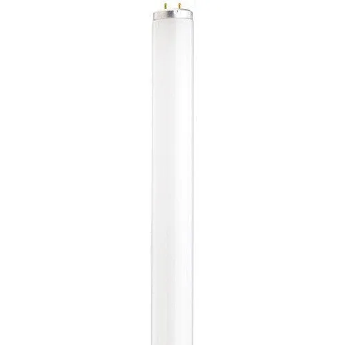 Satco S6561 Fluorescent T12